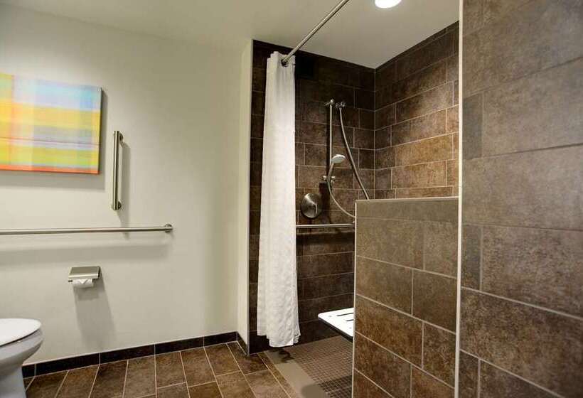 اتاق استاندارد با تخت بزرگ, Hilton Dublin Kilmainham