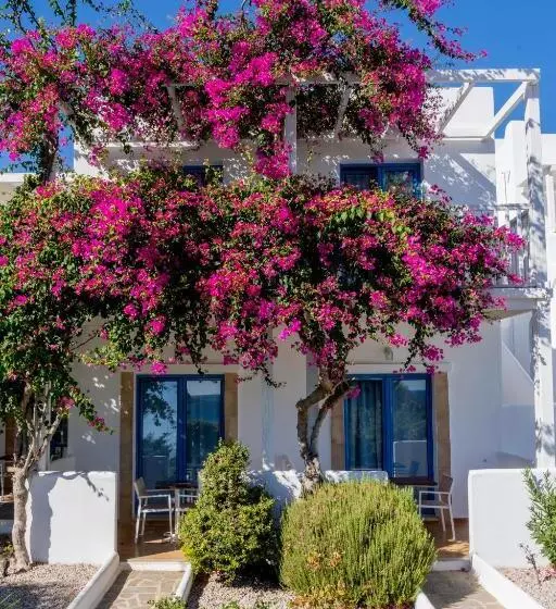 クラシックルーム, Lindos Sun