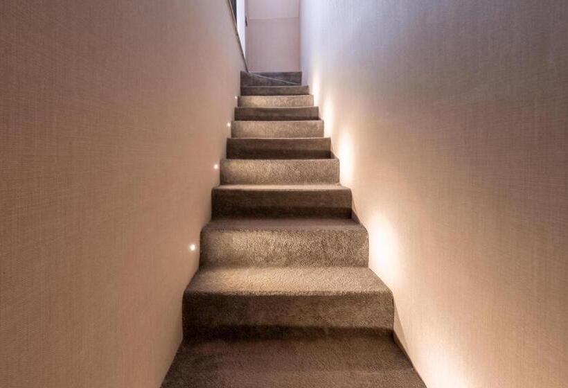 اتاق استاندارد با چشم‌انداز باغ, Lago