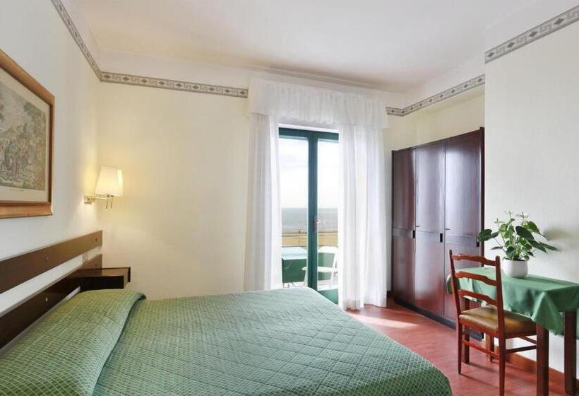 带海景的标准房, Piccadilly