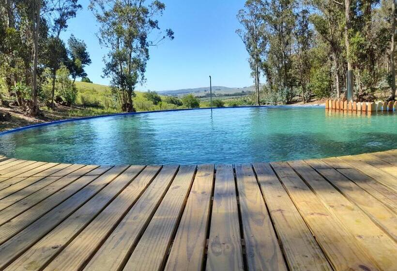 اتاق استاندارد, Posada La Serena