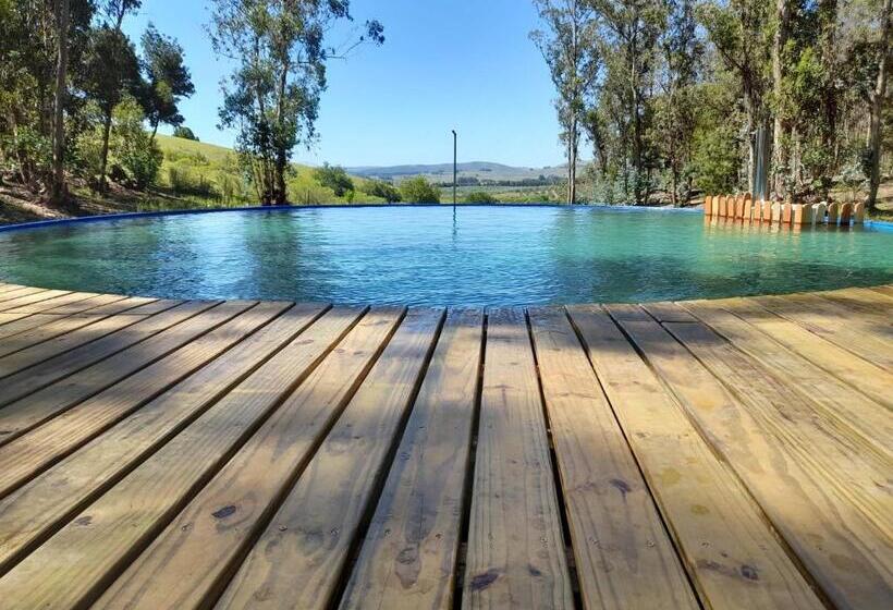 اتاق استاندارد, Posada La Serena