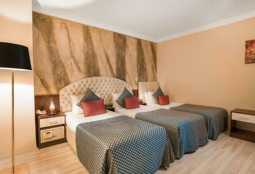 اتاق استاندارد سه نفره, Grand Ani̇