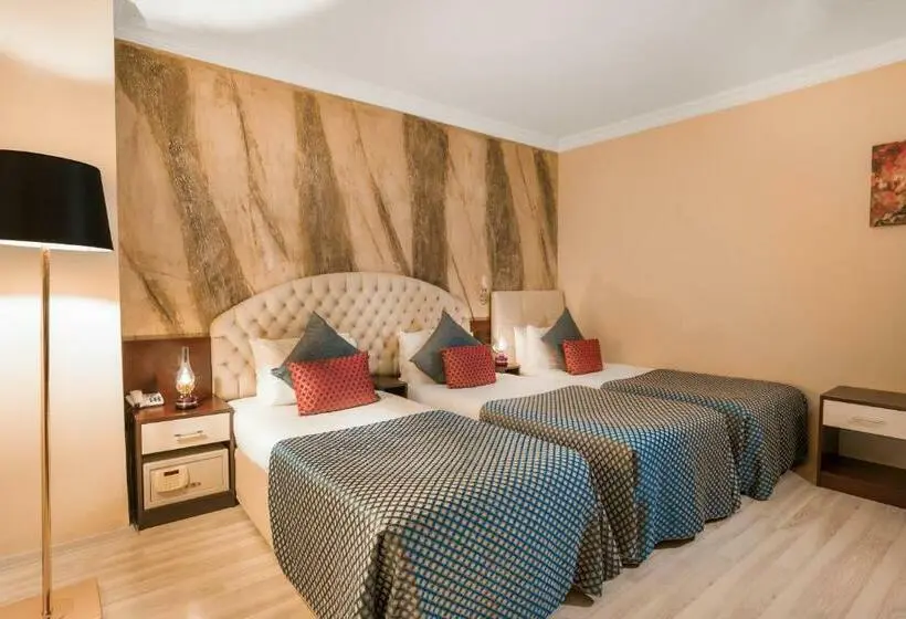 اتاق استاندارد سه نفره, Grand Ani̇