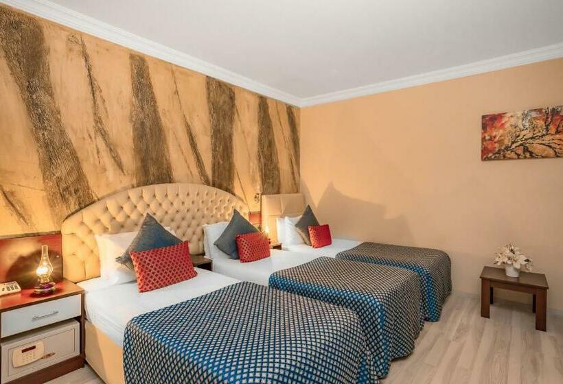 اتاق استاندارد سه نفره, Grand Ani̇