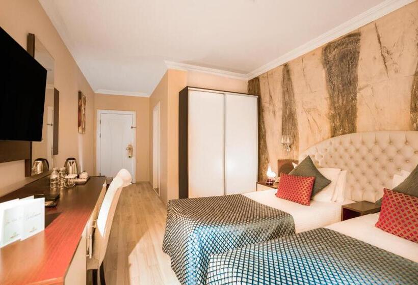 اتاق سوپریور, Grand Ani̇