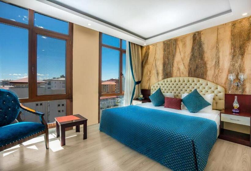 اتاق استاندارد, Grand Ani̇