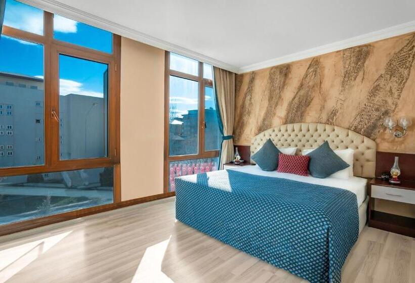 اتاق استاندارد, Grand Ani̇