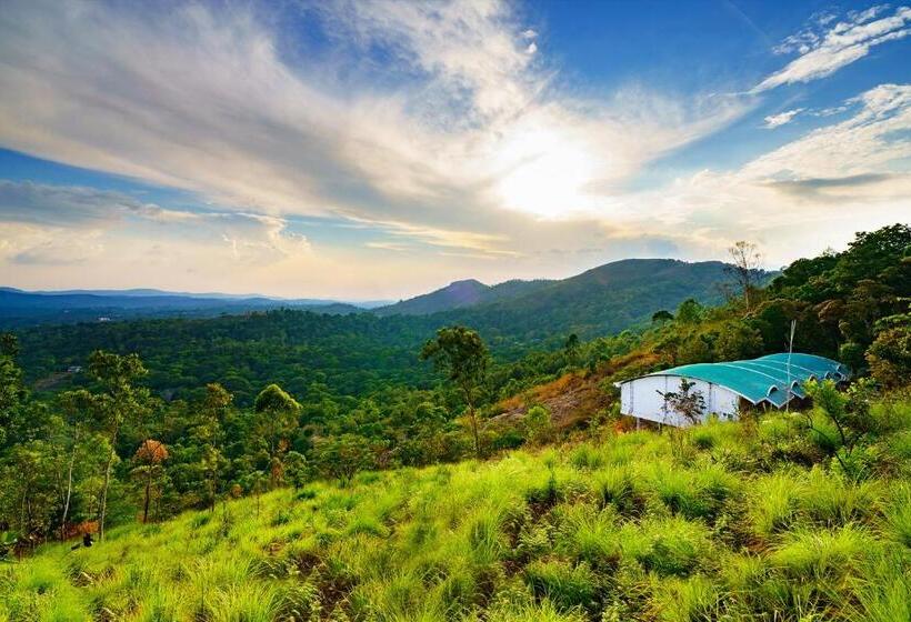 디럭스 룸, Windale Resorts