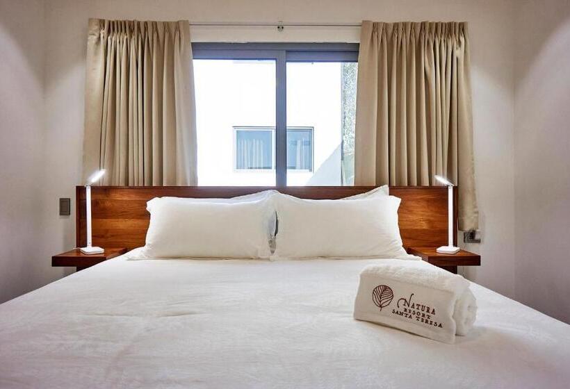 اتاق استاندارد, Natura Loft Garden