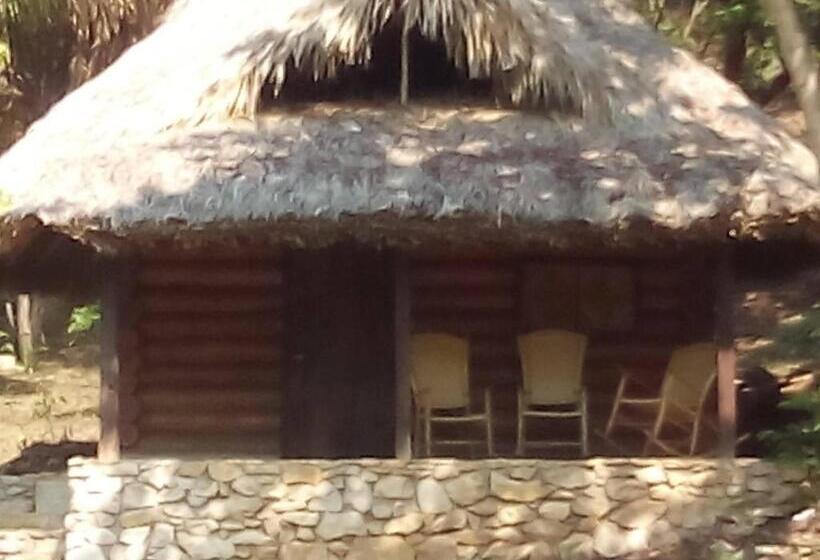 家庭间, Room In Lodge   Sierraverde Huasteca Potosina Cabins Palo De Rosa