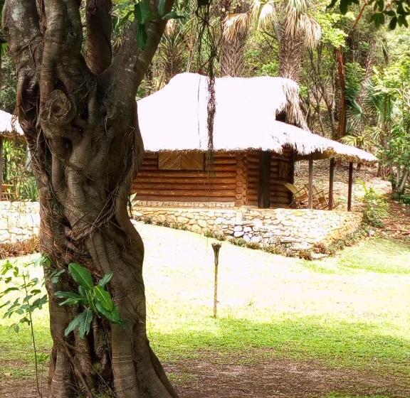 غرفة عائلية, Room In Lodge   Sierraverde Huasteca Potosina Cabins Palo De Rosa