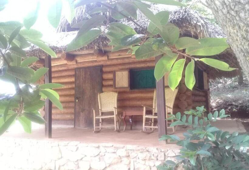 غرفة عائلية, Room In Lodge   Sierraverde Huasteca Potosina Cabins Palo De Rosa