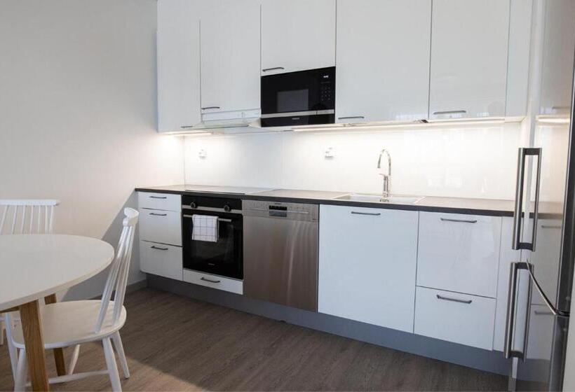 דירת חדר, Matts