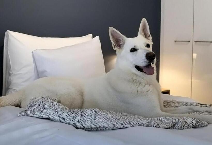 חדר סטנדרט, Matts