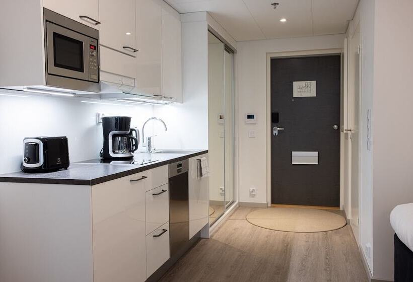 דירת חדר, Matts