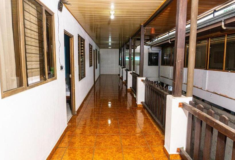 سرير فى غرفة مشتركه, Arenal Poshpacker