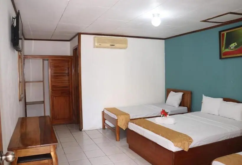 Deluxe Neljän Hengen Huone, Arenal Poshpacker