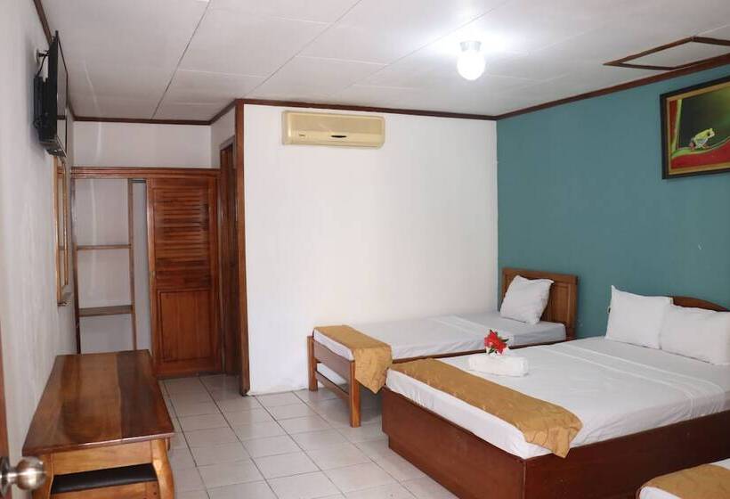 غرفة ديلوكس, Arenal Poshpacker