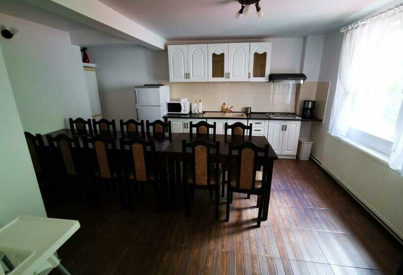 خانه 1 خوابه, Dendy