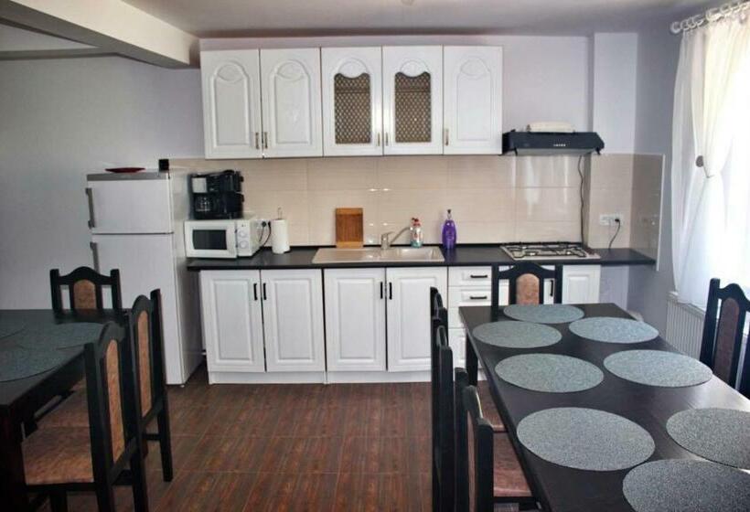 خانه 1 خوابه, Dendy