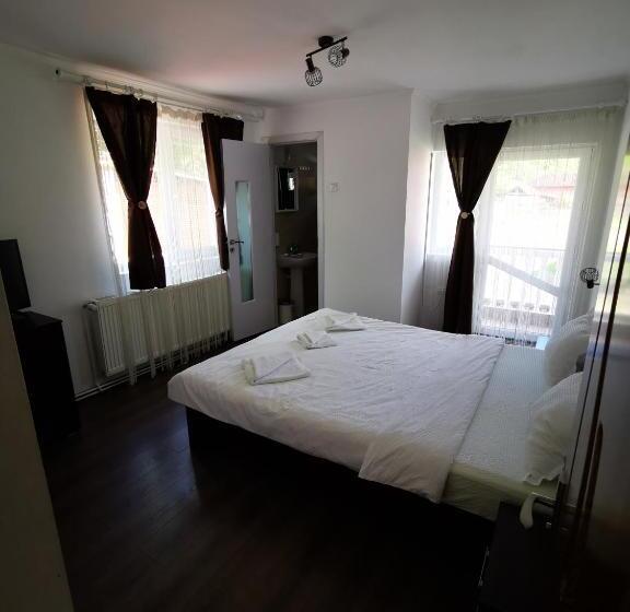 خانه 1 خوابه, Dendy