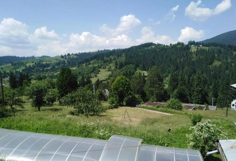 Standard Kolmen Hengen Huone, Khatky Na Penkakh