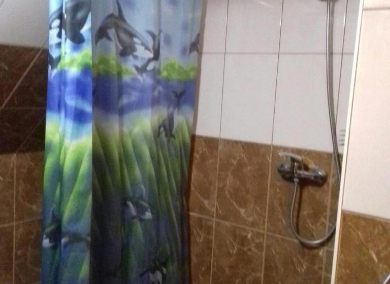 اتاق استاندارد چهار تخته, Khatky Na Penkakh