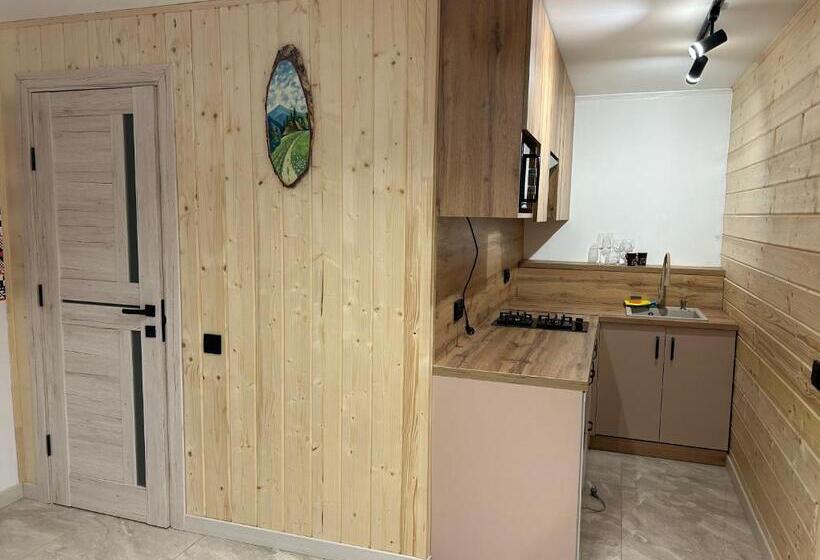 اتاق استاندارد با تراس, Khatky Na Penkakh