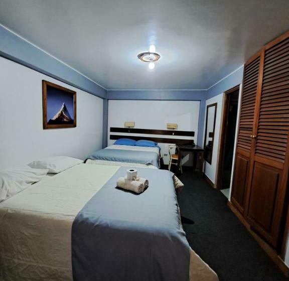 חדר דלוקס, Alpamayo Guest House