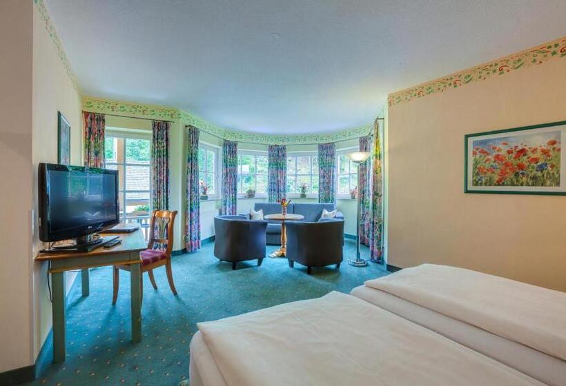 수피리어 룸, Berghotel Hammersbach