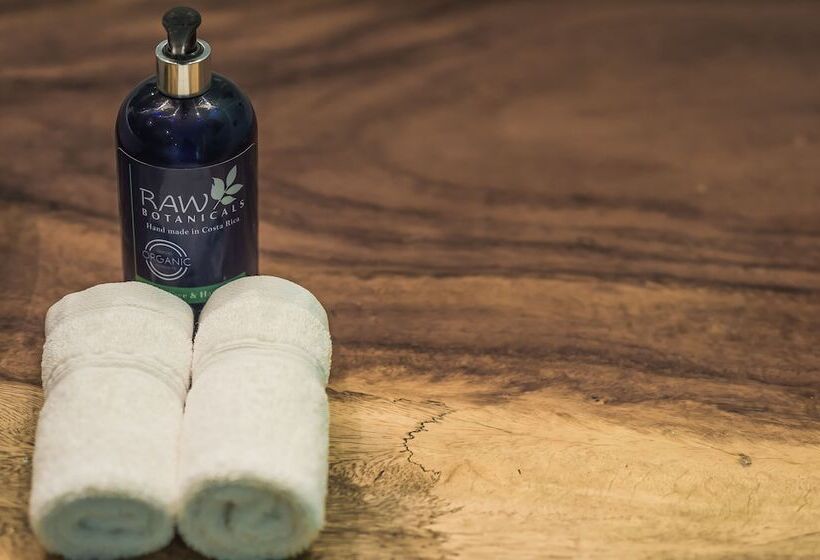 غرفة ديلوكس, Bahia Del Sol Beach Front Boutique