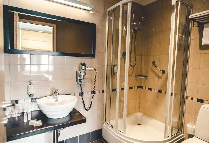 اتاق استاندارد, Hanza