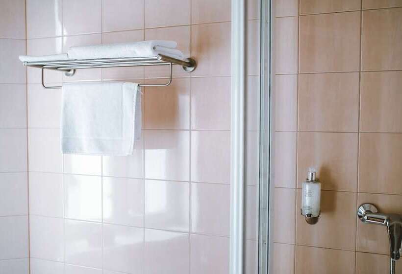 اتاق استاندارد یک نفره, Hanza