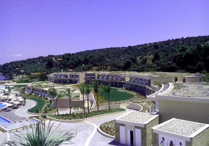 اتاق اکونومی, Hanza