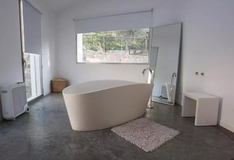 スイート, La Maga Rooms