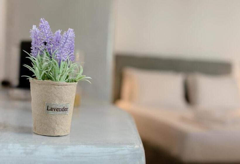 غرفة ديلوكس, Neoklassiko Koukouli