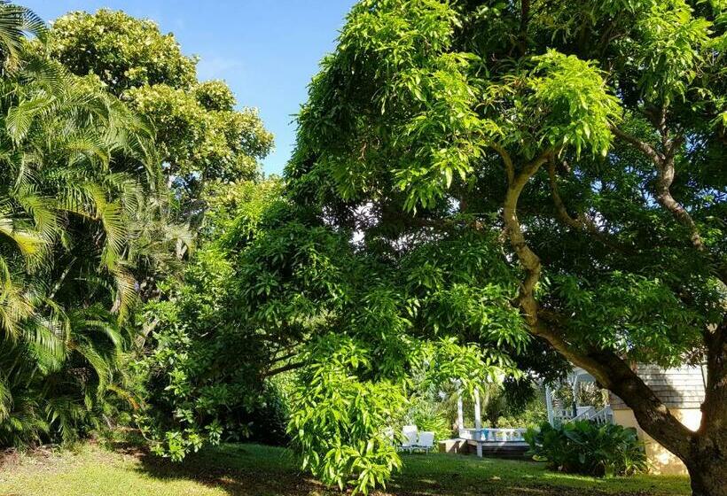 بانگلوی استاندارد 2 خوابه, Habitation Du Comté