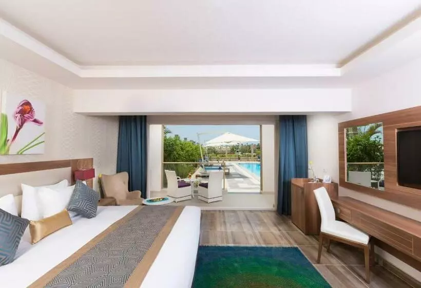 Suite King Bed