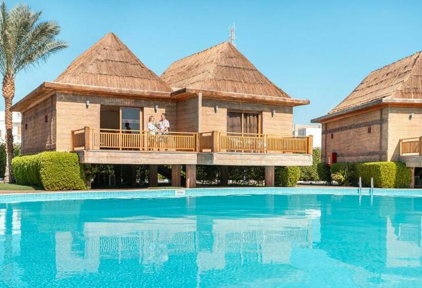 بانگلوی استاندارد 2 خوابه, Pickalbatros Aqua Blu Sharm El Sheikh