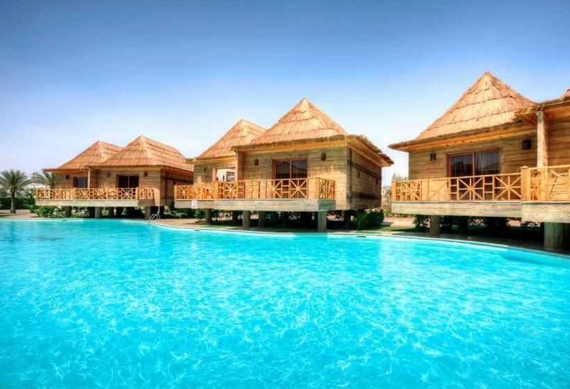بانگلوی استاندارد 2 خوابه, Pickalbatros Aqua Blu Sharm El Sheikh
