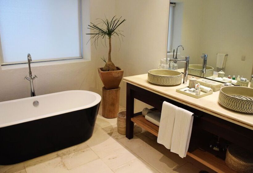 اتاق سوپریور, Boutique Casareyna