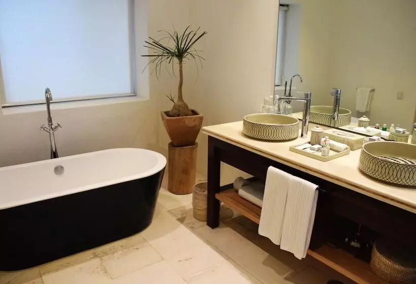 اتاق سوپریور, Boutique Casareyna
