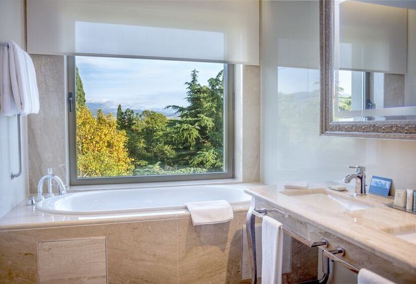 اتاق دلوکس با چشمانداز پارک, Hilton Podgorica Crna Gora