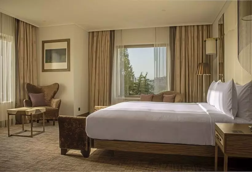 اتاق دلوکس با چشم‌انداز پارک, Hilton Podgorica Crna Gora