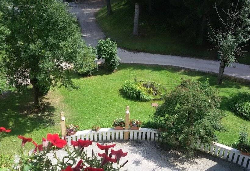 山の見えるジュニアスイート, Miramonti Majestic Grand