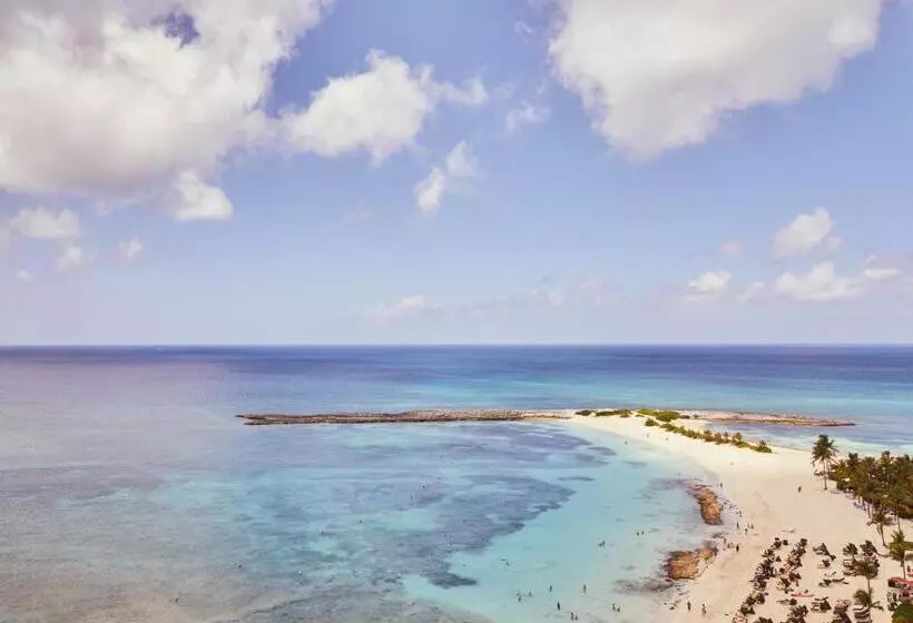 Sviitti Merinäkymä, The Reef At Atlantis