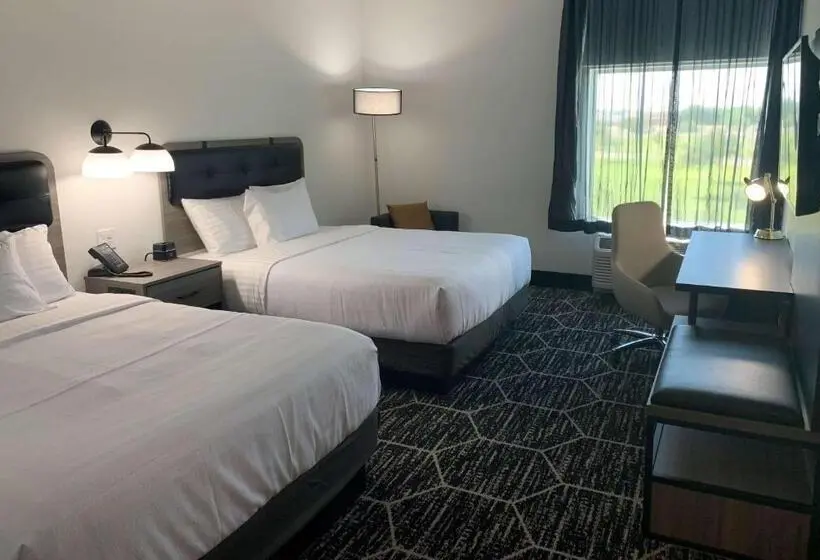 スタンダードルーム, La Quinta Inn & Suites By Wyndham Maricopa  Copper Sky
