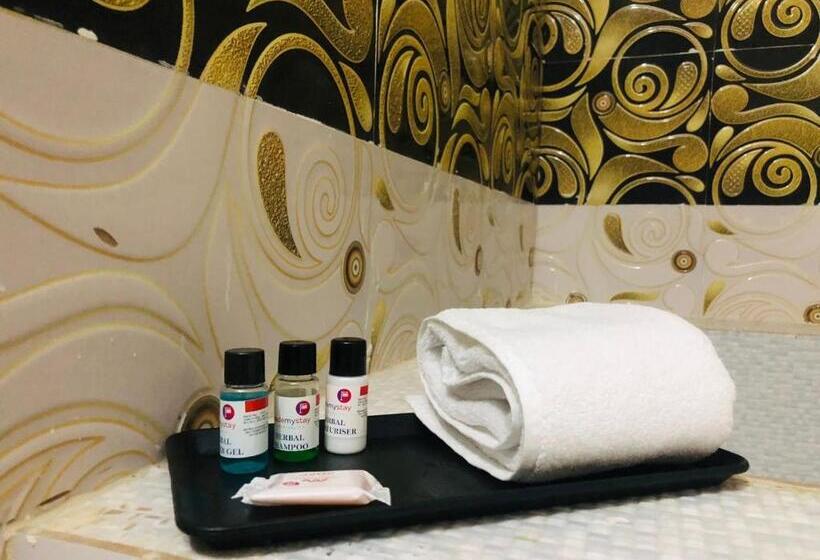 Habitació Deluxe, Yuvraj Fort