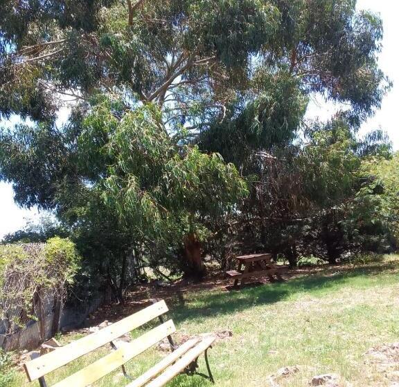 Standard Szoba Megosztott Fürdővel, Casa Bordó, B & B